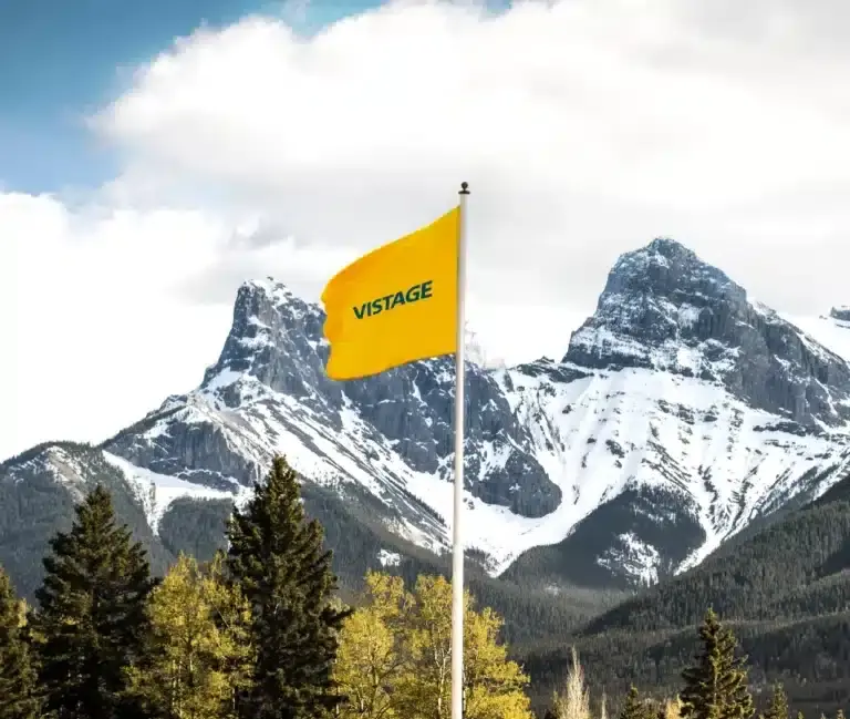 vistage-flag-768x649